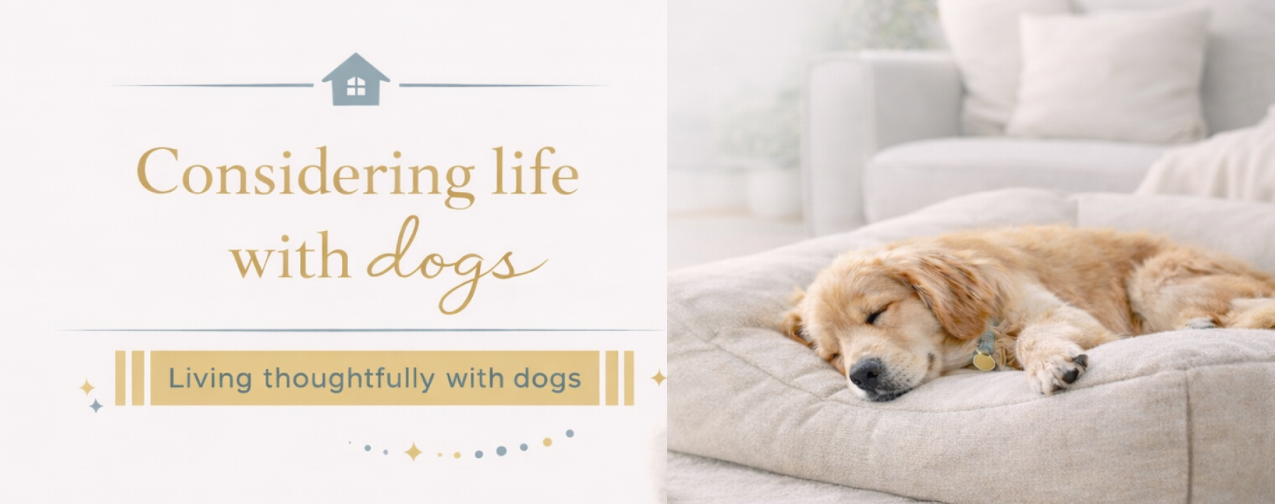 イヌとの暮らしを考えるメディア