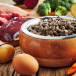 Natural Dog Food Guide: How to Choose Healthier Dog Food