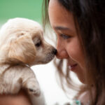 Puppy Training: When to Start Training a Puppy (Age Guide)