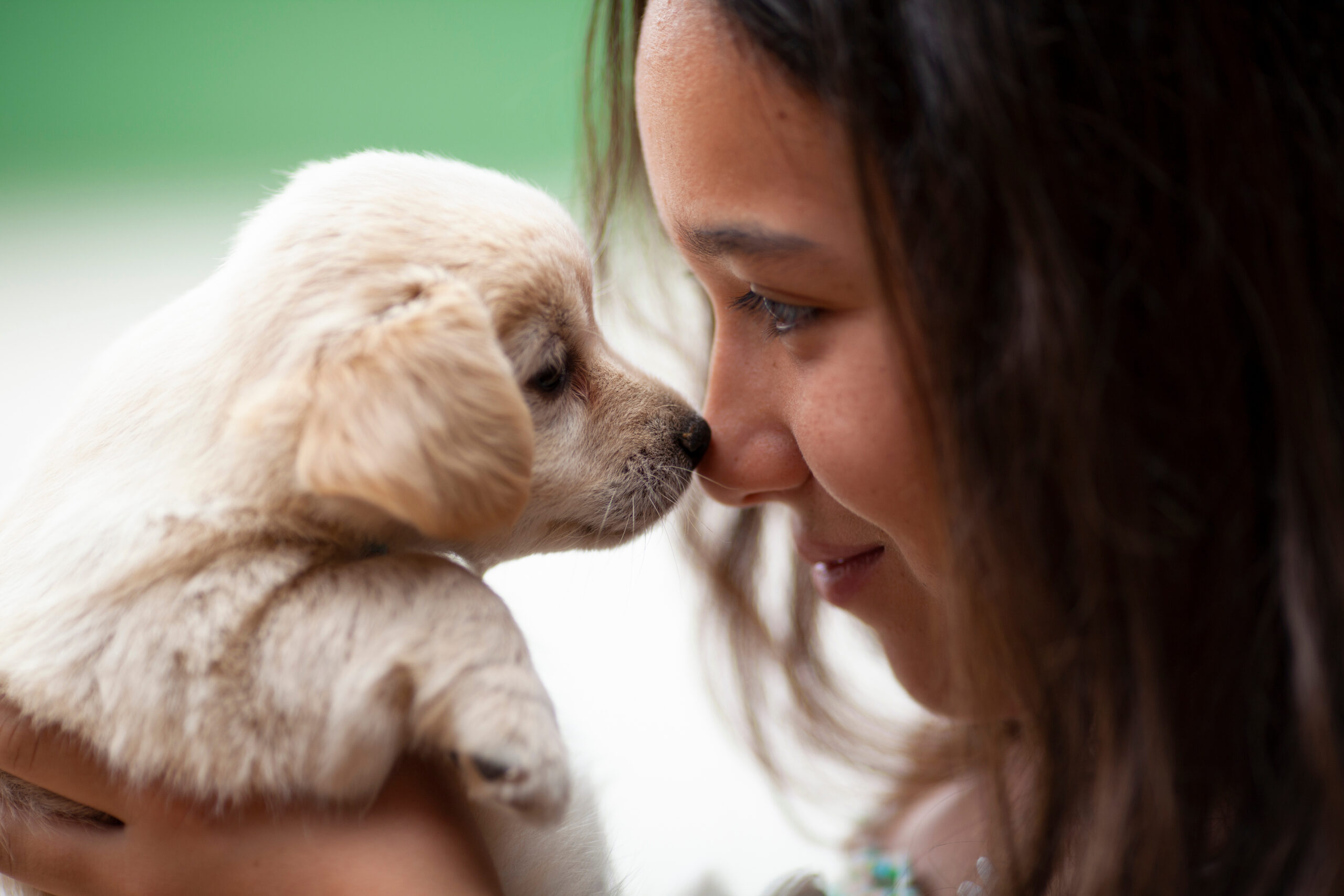 Puppy Training: When to Start Training a Puppy (Age Guide)