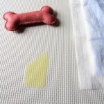 House Training an Adult Dog: 7 Proven Steps That Work