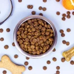 Health Dog Food Related Illnesses: 7 Key Facts