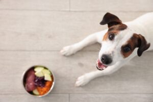 Dog Food Reviews 2024: 9 Best Dog Foods Vets Trust