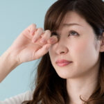 9 Health Hypoallergenic Dog Breeds for Allergy-Sensitive Owners