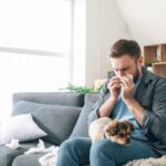 Health Guide: 9 Best Dogs for People With Allergies