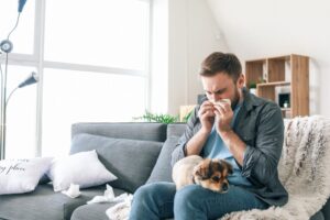 Health Guide: 9 Best Dogs for People With Allergies