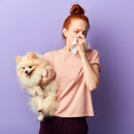 Health Dog Allergy Test: A Simple 2024 Owner’s Guide