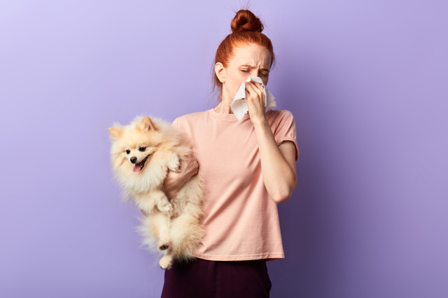Health Dog Allergy Test: A Simple 2024 Owner’s Guide