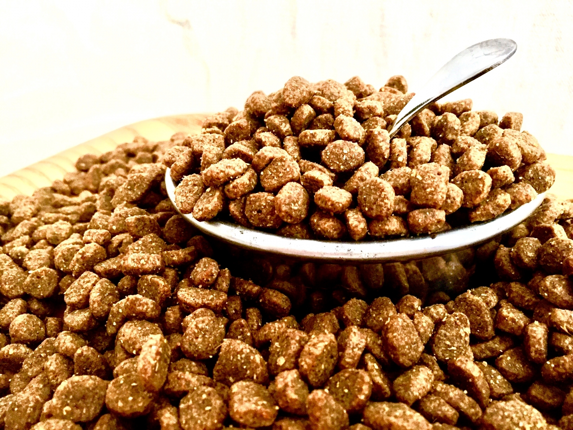 A thorough introduction to popular dog foods. Which are safe and reliable?
