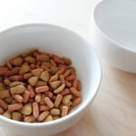 3 ways to choose a dog food stand! Make your dog's mealtimes more comfortable