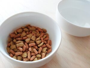 3 ways to choose a dog food stand! Make your dog's mealtimes more comfortable