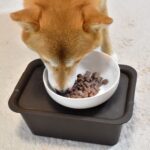 Is there a dog food that is suitable for Shiba Inu? Explaining three points to consider when choosing