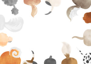 I love both dogs and cats! 5 tips to avoid mistakes when living with a dog or cat