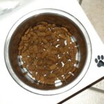 Health starts with food! Prevent tear stains with dog food!