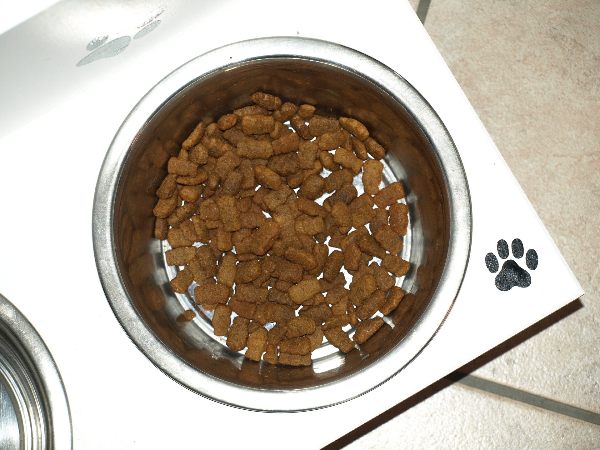 Health starts with food! Prevent tear stains with dog food!