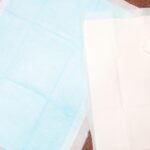 [How to choose a dog toilet sheet] Introducing recommended toilet sheets