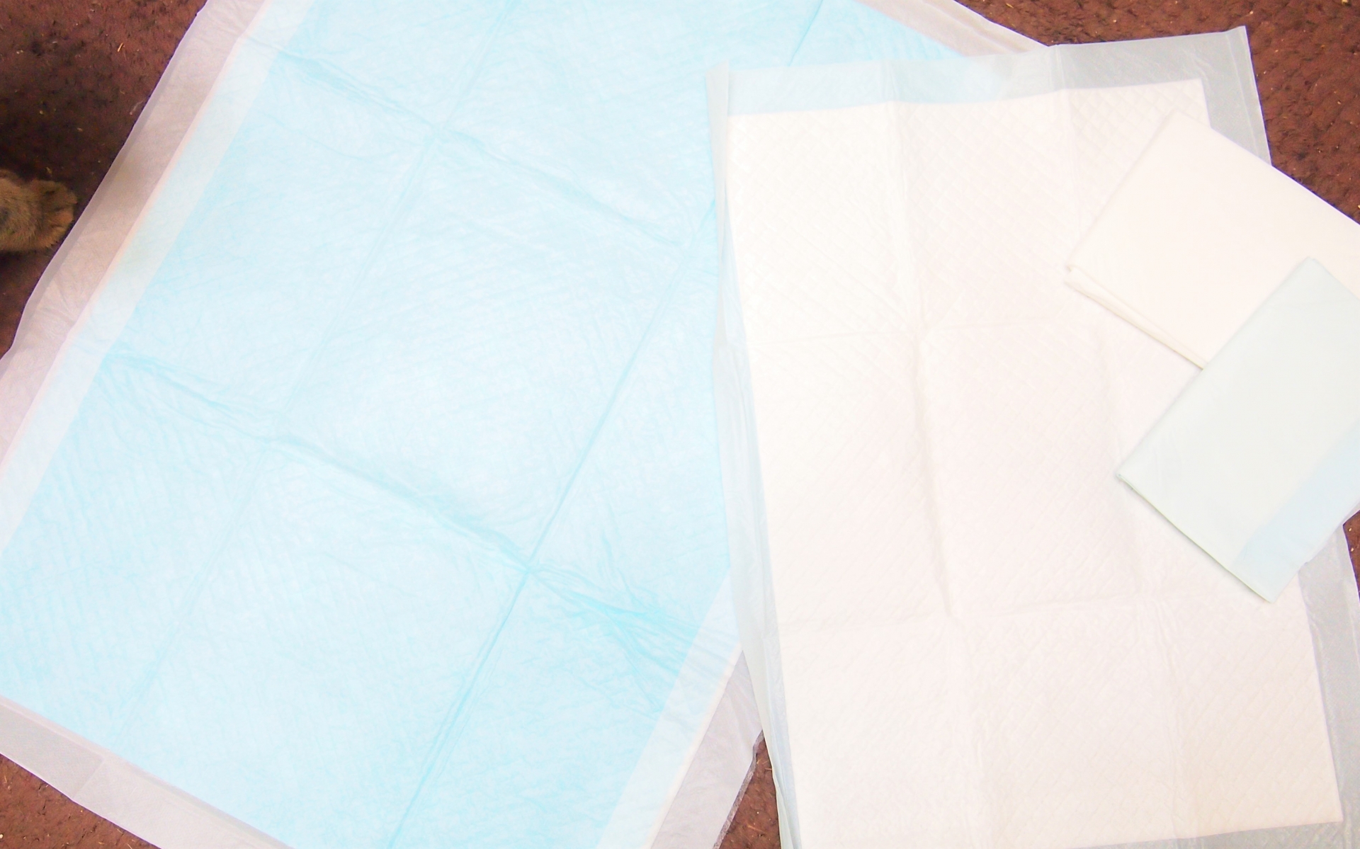 [How to choose a dog toilet sheet] Introducing recommended toilet sheets