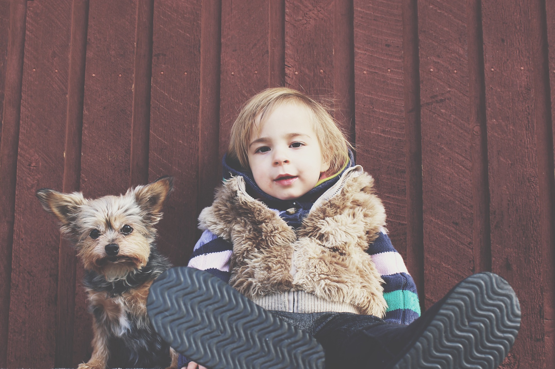 When is the right time to bring a baby and a dog together, and what are some tips for getting them to get along?