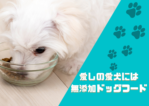 How to diet your dog! Tips for checking the amount of food and exercise, and body shape