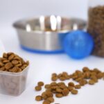 Dog allergies and recommended dog foods