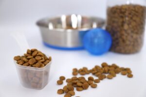 Dog allergies and recommended dog foods