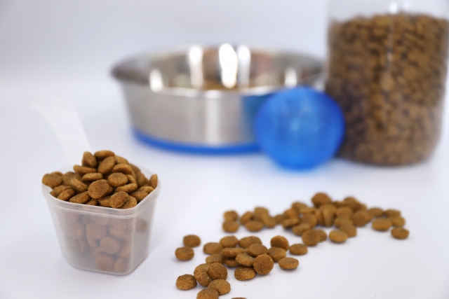 Dog allergies and recommended dog foods