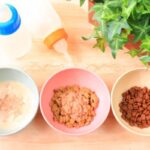 My old dog won't eat!? Causes and solutions