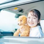 What is the difference between spaying and neutering dogs? Why do you do it? Advantages and disadvantages