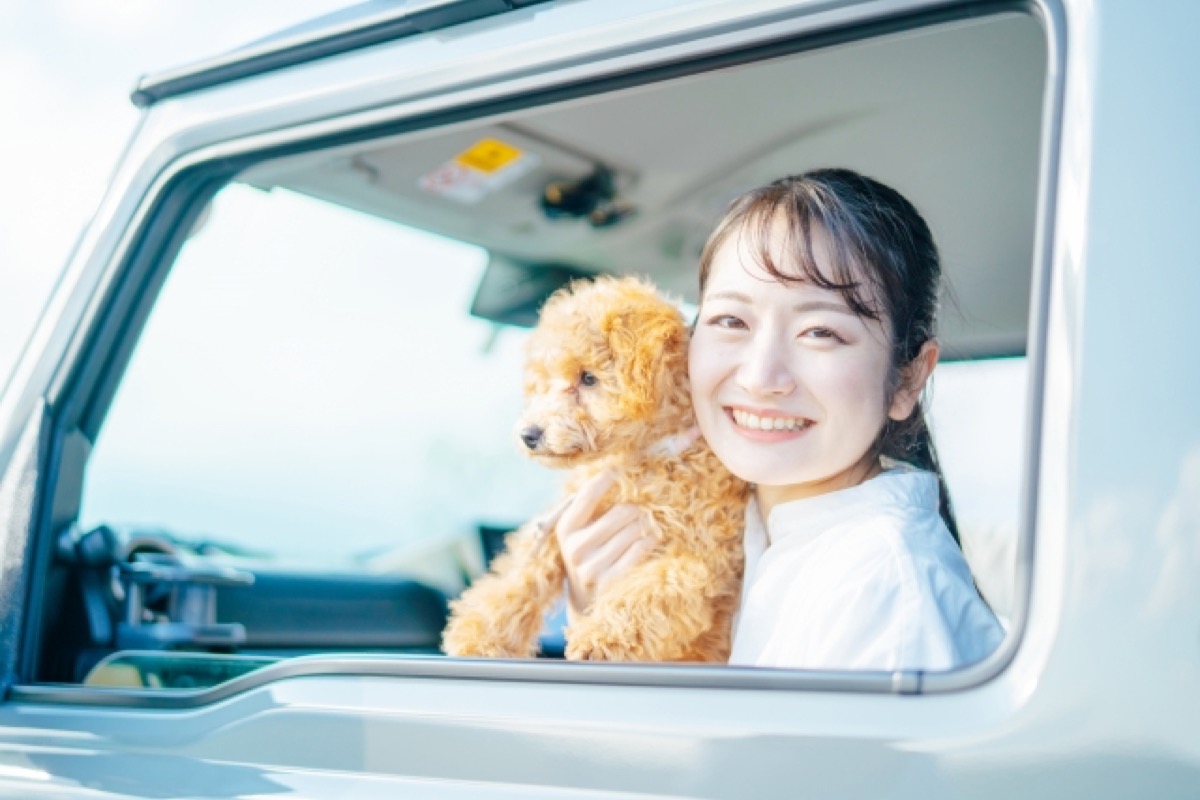 What is the difference between spaying and neutering dogs? Why do you do it? Advantages and disadvantages