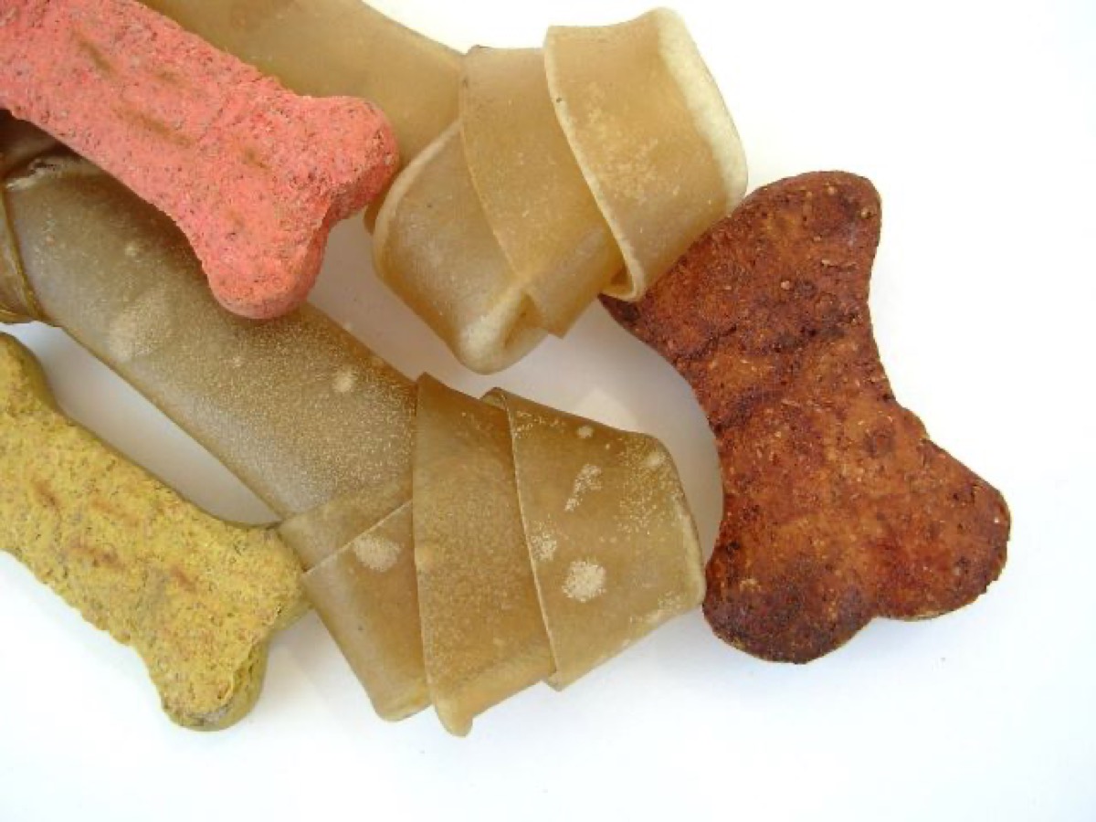 Is bone chewing necessary for your dog? Is it dangerous? 5 recommended bone chews