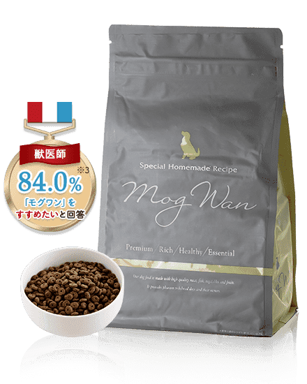 What is truly good dog food? Five points to consider