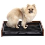 A must-see for those looking for a stylish dog litter box. How to find one and what to look for.