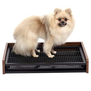 A must-see for those looking for a stylish dog litter box. How to find one and what to look for.