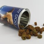 Can dogs eat bones? Why they shouldn't be given and how to feed them properly