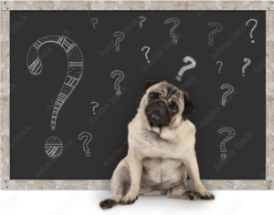 Is scratching your dog's ears a sign of illness? Here are three possible causes and solutions