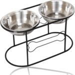 Is your dog barking constantly because he has dementia? Other causes and solutions