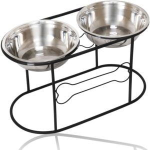 Is your dog barking constantly because he has dementia? Other causes and solutions