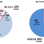 What you need to know! The current situation of dogs and cats taken to public health centers and how to help them