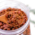 What's the ideal amount of food for a puppy? A thorough explanation of how often, how to feed it, and how to choose the right food!