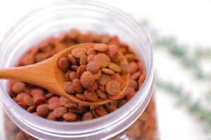 What's the ideal amount of food for a puppy? A thorough explanation of how often, how to feed it, and how to choose the right food!