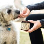 How to Choose a Dog Toilet Tray! Important Points and Things to Note!