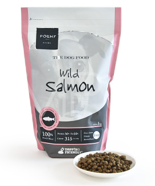 What is gluten (grain) free dog food? What are the pros and cons?