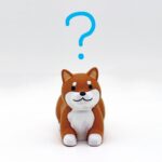 Toilet training for adult dogs. It's okay even after they grow up!