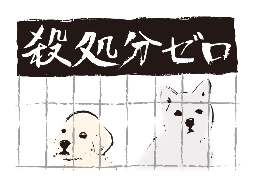 Why are dogs and cats euthanized? The current situation and what we can do