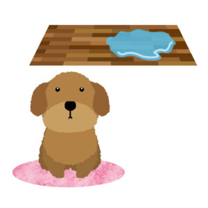 How to prevent your dog from spilling its toilet bowl? Here are three ways to prevent this.