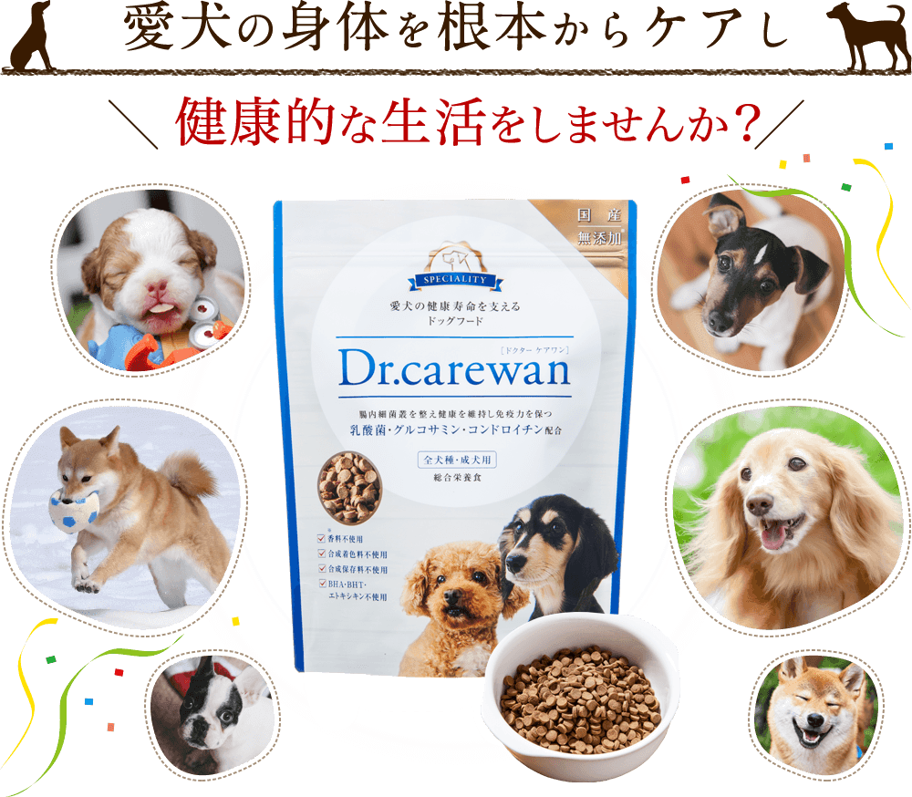 [Choosing dog food for health] 5 recommended low-fat dog foods