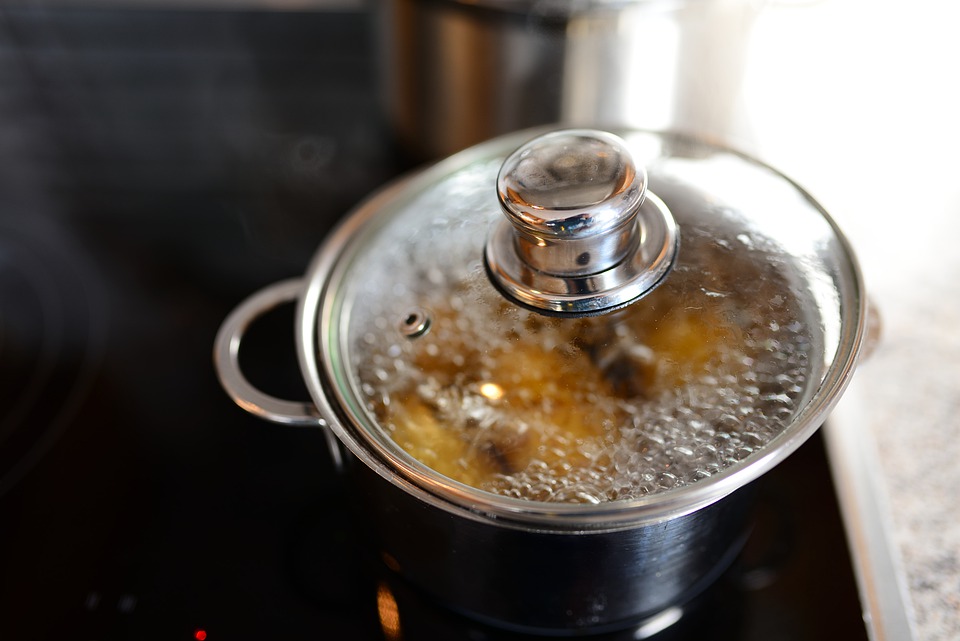 I want to make homemade food for my dog