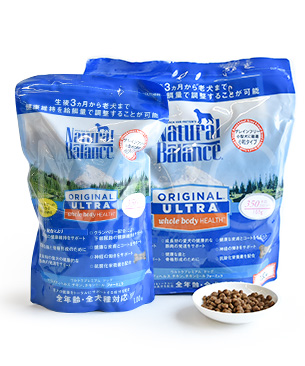 Why are dogs and cats euthanized? The reality and what owners can do