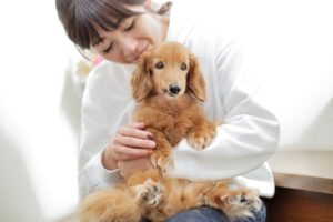 Cute dog names for 2022! Survey of Japanese, foreign, and popular names
