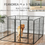 What is an adoption event? Conditions and benefits of adoption